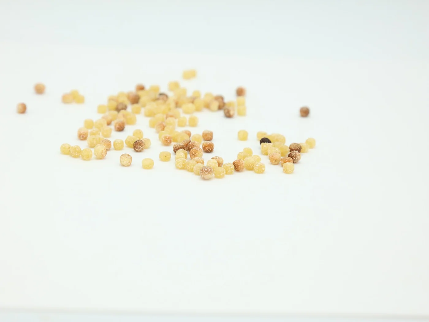 Fregola con arselle